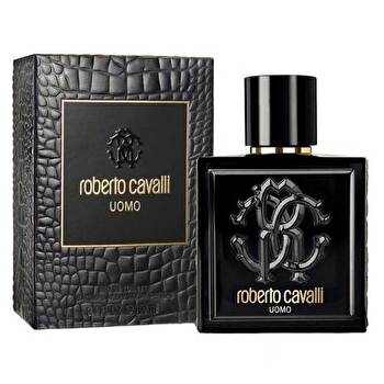 Cavalli Roberto Uomo Eau De Toilette 100ml
