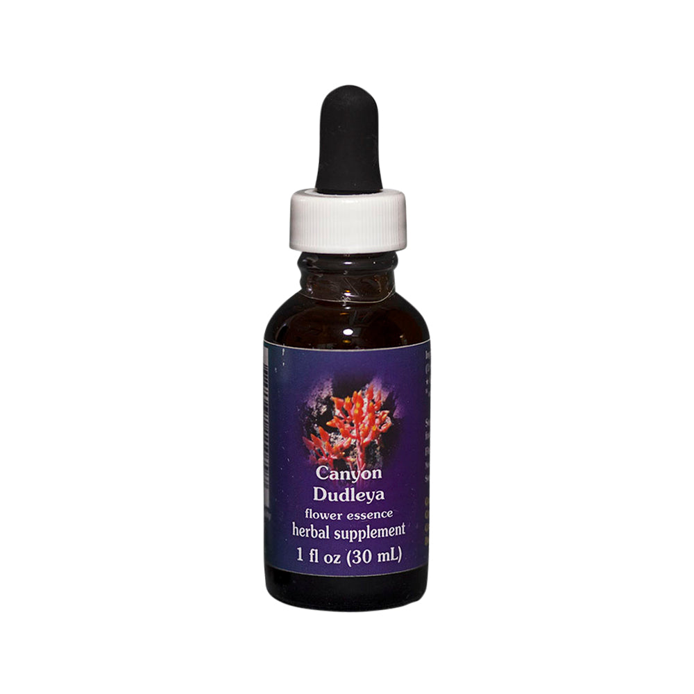 FES Organic Quintessentials Flower Essence Canyon Dudleya 30ml