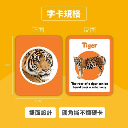 Curios English Flashcard Fixed Size
