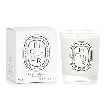 Diptyque Scented Candle - Figuier (Fig Tree) 70g/2.4oz