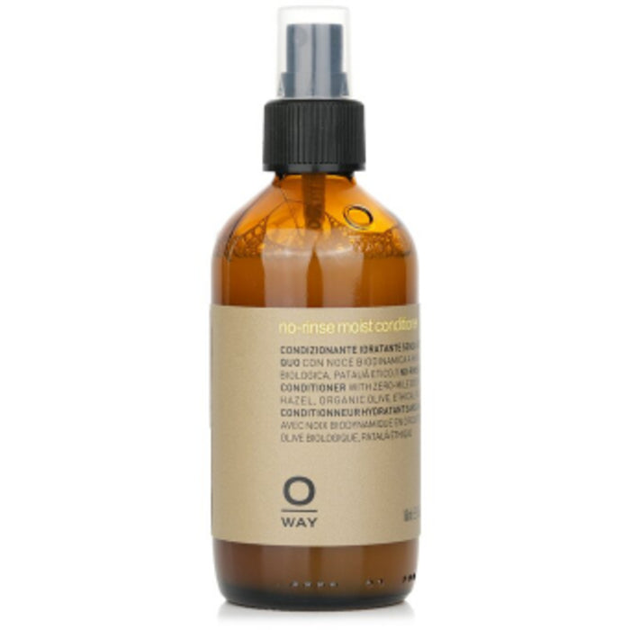 Oway No-rinse Moist Conditioner - Dry And Brittle Hair 160ml