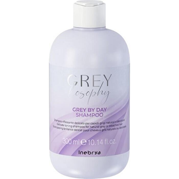 Inebrya Grey By Day Shampoo 300ml